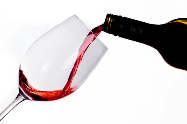 How I Choose the Best Wine Saver: Practical Guide Cover