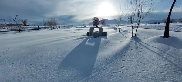 Clearing the Weight: A Real-World Guide to Finding the Best Roof Rake (and Avoiding Costly Winter Surprises) Cover