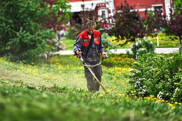 The Best Stand-Up Weed Pullers: Redefining Comfort and Efficiency in Modern Gardening Cover