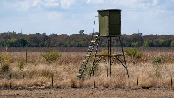 Blinded by Success: The Field Lessons That Changed How I Choose Hunting Blinds Cover