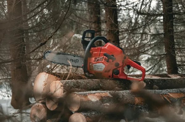 Cutting Through the Noise: A Practical Guide to the Best Electric Chainsaws for Modern Homeowners Cover