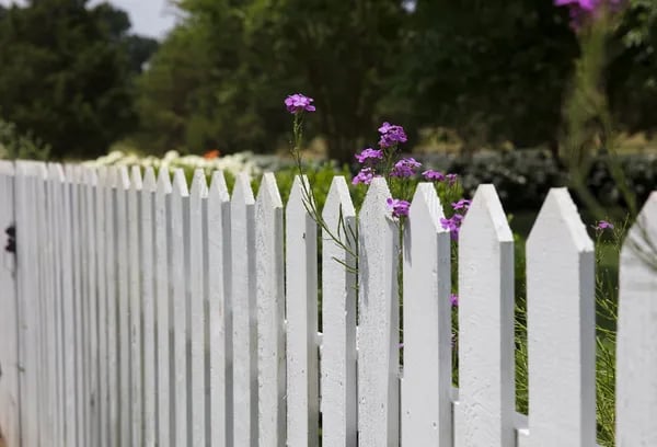Choosing the Best Garden Fence: A Practical Guide to Protecting and Elevating Your Outdoor Space Cover