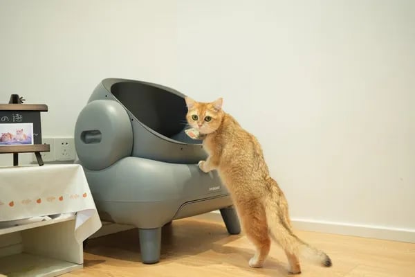 The Quiet Hero of a Clean Home: Choosing the Right Cat Litter Box for a Happier Life Cover