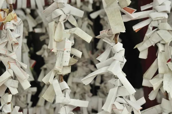 Shredded Secrets: Why a High-Quality Paper Shredder Belongs in Every Modern Home and Office Cover