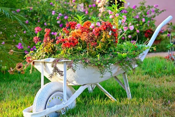 The Essential Guide to Selecting the Best Garden Cart for Modern Gardeners Cover
