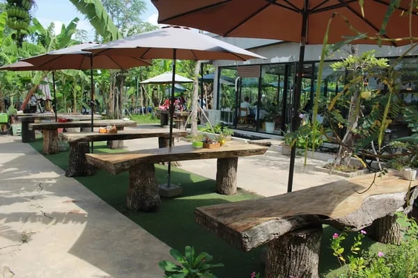 Palisade Outdoor: Cedar Wood 9'x6' Outdoor Bar Cover